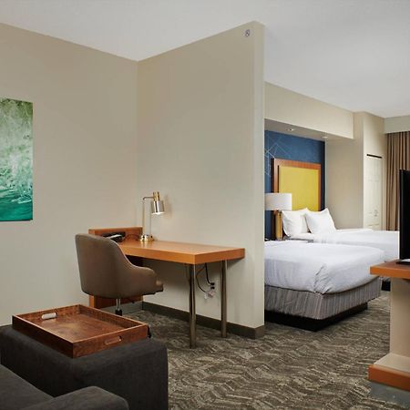 Springhill Suites By Marriott Baton Rouge North / Airport Exterior photo
